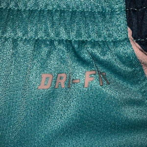 L - Nike Dri-Fit Shorts