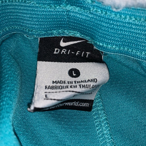 L - Nike Dri-Fit Shorts