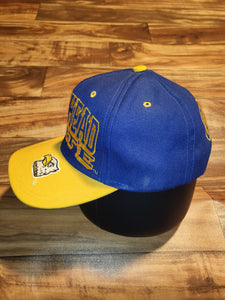 Vintage Rare Morehead College University Beaker MSU Sports Hat