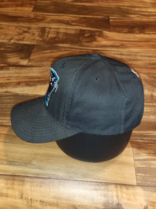 Vintage Carolina Panthers NFL Starter Sports Plain Logo Hat