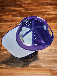 Vintage Rare Minnesota Vikings NFL Sports Starter Collision Hat