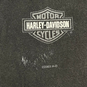 L - Vintage Harley Davidson Wolf Beartooth Montana Shirt