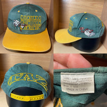 Load image into Gallery viewer, Vintage 1993 Green Bay Packers Taz Hat