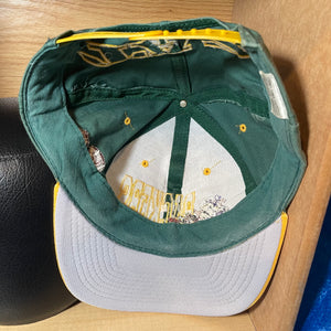 Vintage 1993 Green Bay Packers Taz Hat