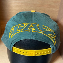 Load image into Gallery viewer, Vintage 1993 Green Bay Packers Taz Hat