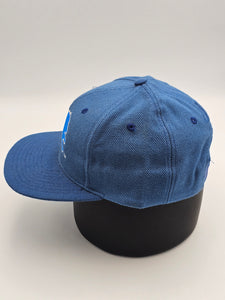 NEW - Vintage Detroit Lions NFL Logo Athletic Hat