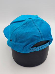 NEW - Vintage Carolina Panthers NFL Logo 7 Hat
