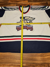 Load image into Gallery viewer, XXL - Vintage Grand Rapids Griffins Bauer AHL Todd White Hockey Sports #29 Jersey