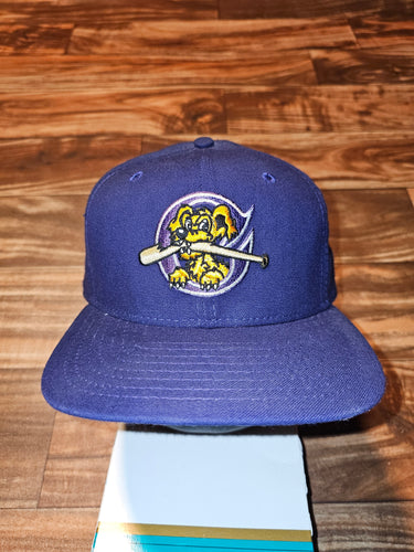 Vintage Charleston Riverdogs Minor League Baseball Sports Hat