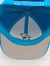 Load image into Gallery viewer, NEW - Vintage Carolina Panthers NFL Logo 7 Hat