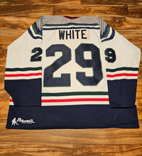 Load image into Gallery viewer, XXL - Vintage Grand Rapids Griffins Bauer AHL Todd White Hockey Sports #29 Jersey