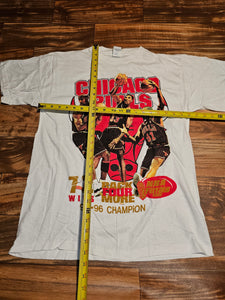 L - NEW Vintage Rare 1996 Chicago Bulls Champion 72 Wins Shirt