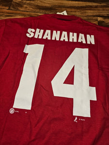 L - NEW Vintage Red Wings NHL Brendan Shanahan Shirt