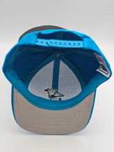 Load image into Gallery viewer, NEW - Vintage Carolina Panthers NFL Logo 7 Hat