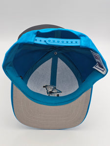 NEW - Vintage Carolina Panthers NFL Logo 7 Hat