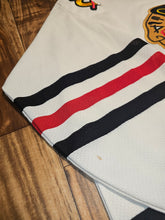 Load image into Gallery viewer, L - Vintage Chicago Blackhawks NHL CCM Jersey