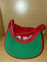 Load image into Gallery viewer, Vintage Corduroy Badgers Hat