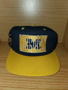 Vintage Michigan Hat