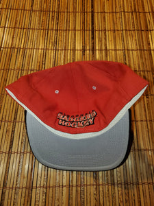 Vintage Fitted Badgers Hockey Hat