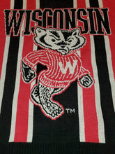 Load image into Gallery viewer, L - NEW Vintage Wisconsin Badgers Sweater