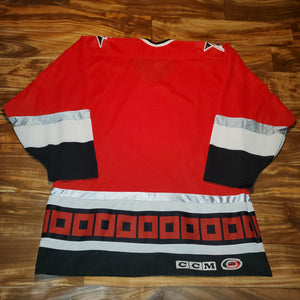 L/XL - Vintage Carolina Hurricanes Stitched Hockey Jersey