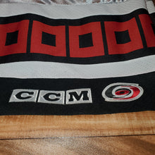 Load image into Gallery viewer, L/XL - Vintage Carolina Hurricanes Stitched Hockey Jersey