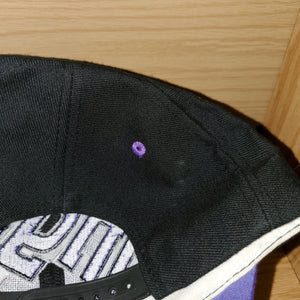 Vintage Sacramento Kings NHL Hockey Snapback