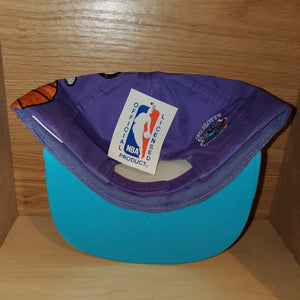 Vintage Charlotte Hornets Logo 7 Snapback Hat – Twisted Thrift