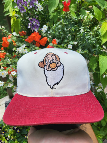 Vintage Rare Disney Snow White Grumpy Blockhead Hat
