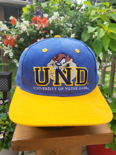 Vintage Looney Tunes Notre Dame Taz Hat