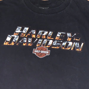 L - Harley Davidson Peshtigo WI Fire Shirt