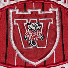 Load image into Gallery viewer, L - Vintage Wisconsin Badgers Sweater