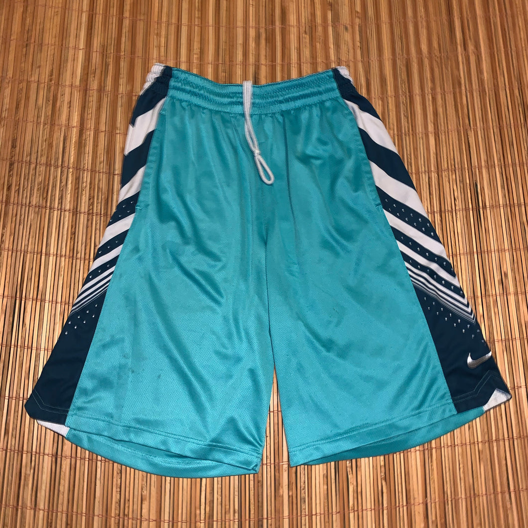 L - Nike Dri-Fit Shorts