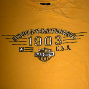 L - Harley Davidson Early 00s Orlando Florida Shirt