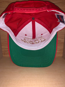 Vintage San Francisco 49ers Sports Specialties Hat