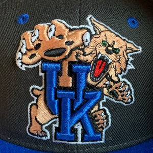 Kentucky Wildcats NCAA Hat NEW