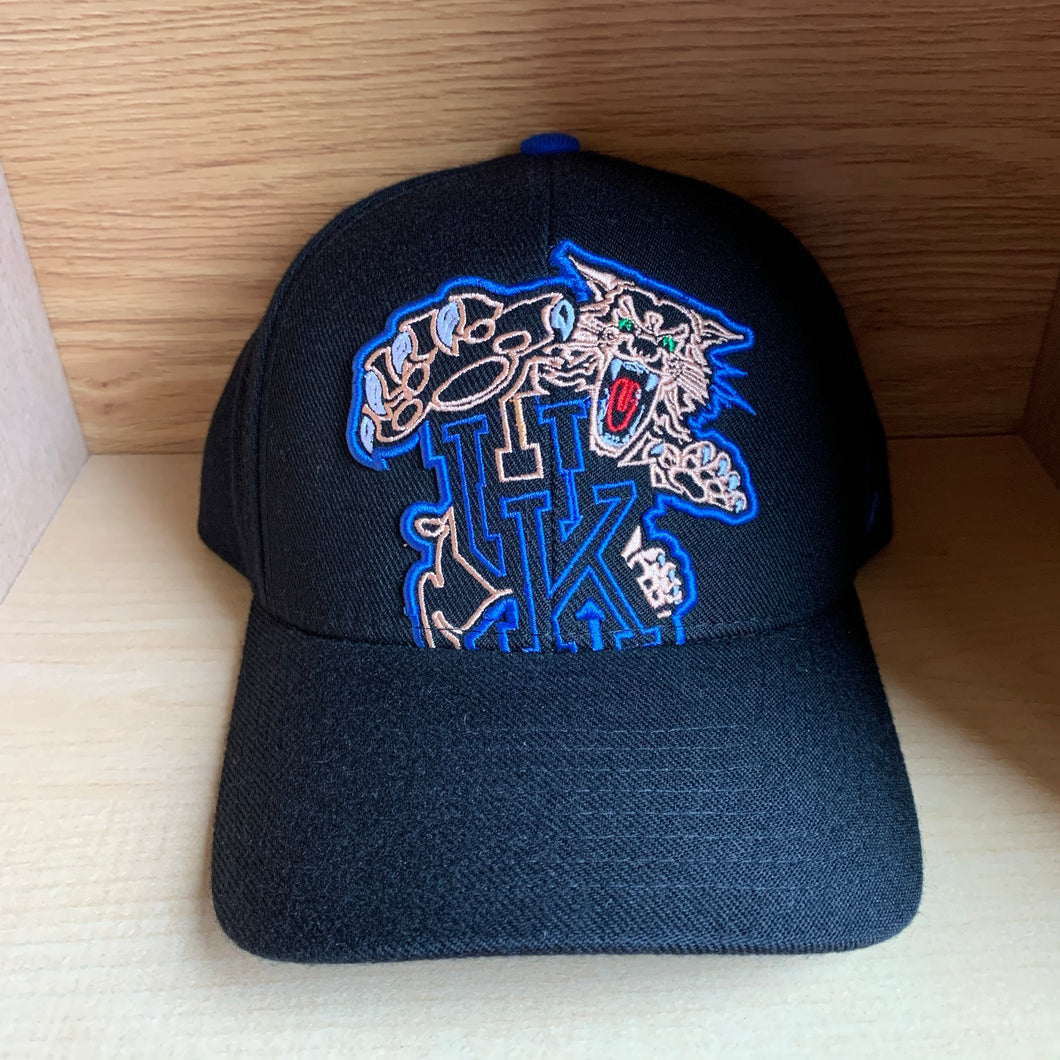 NEW Kentucky Wildcats Fitted Hat