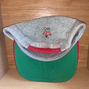 Vintage Wisconsin Badgers Soft Material Hat