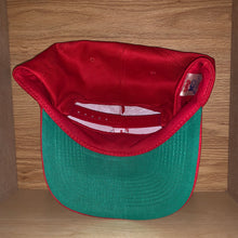 Load image into Gallery viewer, Vintage Wisconsin Badgers Hat