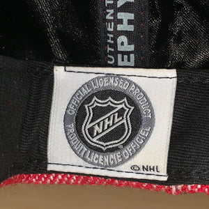 Minnesota Wild NHL Hockey Leather Brim Wool Hat