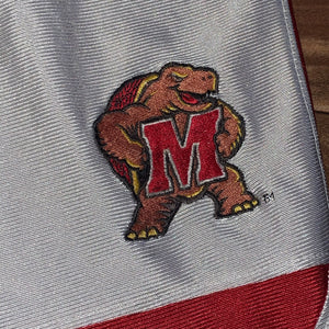 L/XL - Vintage/Early 2000s Nike Team Maryland Terrapins Shorts
