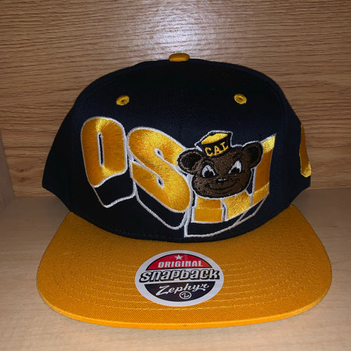 NEW California Bears Hat