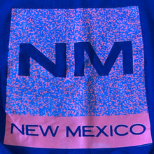 Load image into Gallery viewer, L - Vintage New Mexico Sweater