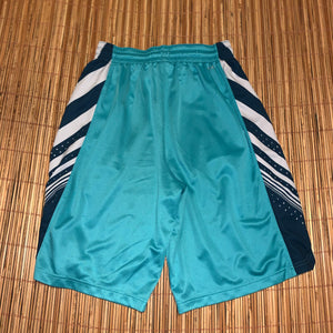 L - Nike Dri-Fit Shorts