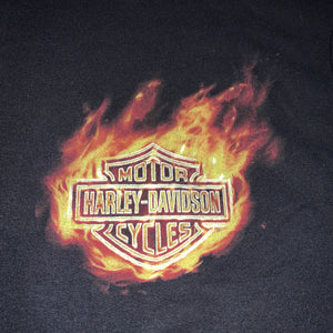 L - NWT Harley Davidson Flames Sweatshirt