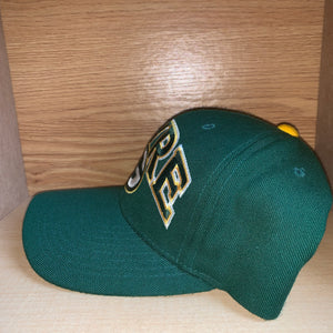 Vintage 90s Packers Brett Favre Starter Hat