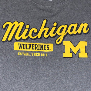 XL - Michigan Wolverines Champion Shirt