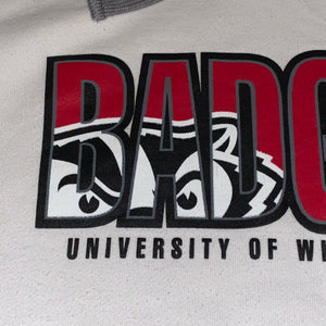 L/XL - University of Wisconsin Madison Badgers Hoodie