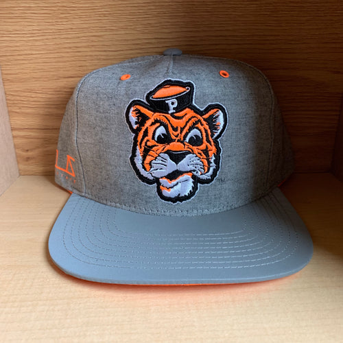 Princeton Tigers 3M Hat