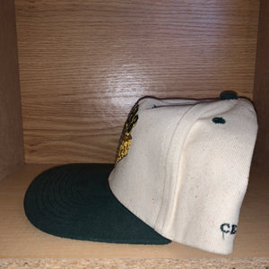 Vintage Green Bay Packers Cheesehead Snapback